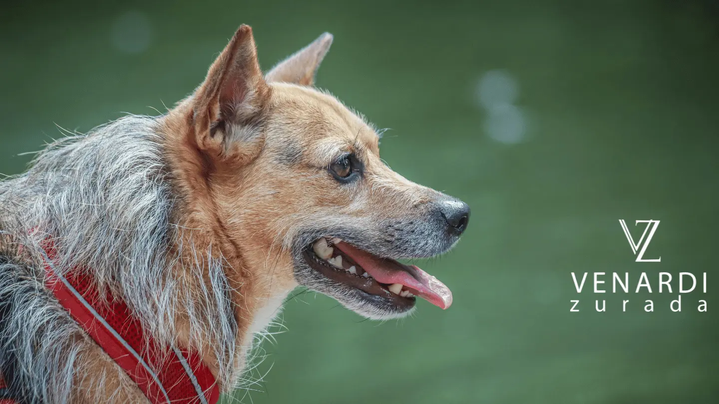 Coverage for Mauling and Attacks