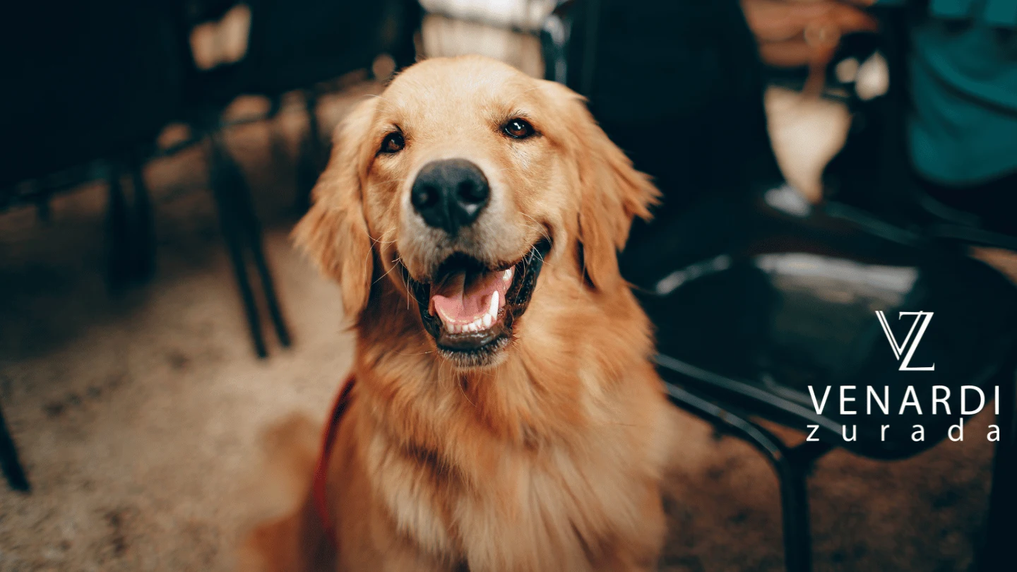 dog bite injury to children